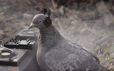 Weird Thoughts (15 gifs) Weird Thoughts (15 gifs)