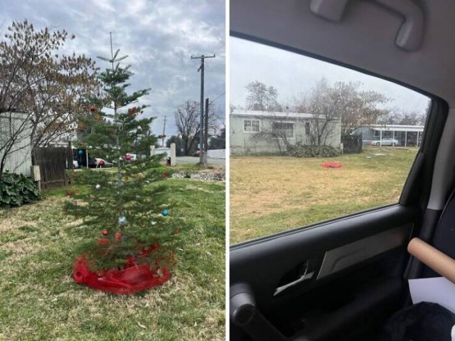Christmas Fails (22 pics)