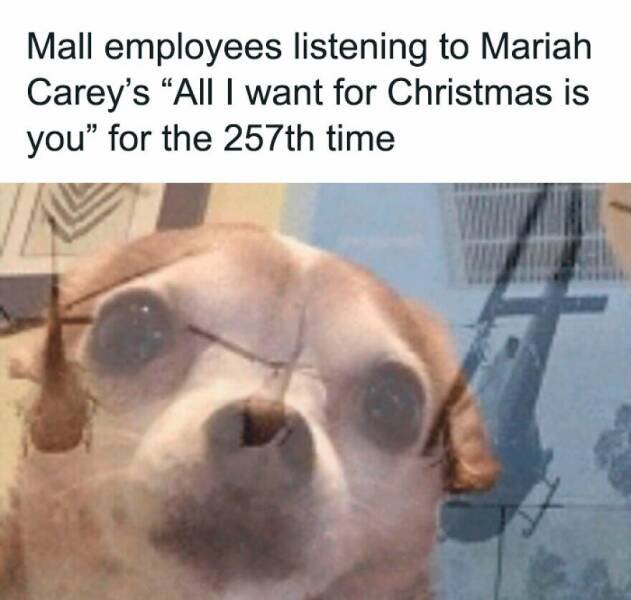 Funny Memes (23 pics)