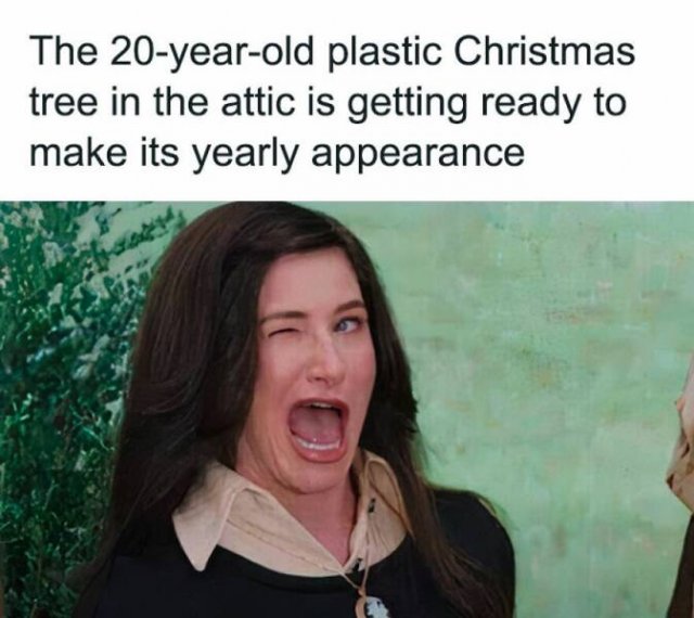 Funny Memes (23 pics)