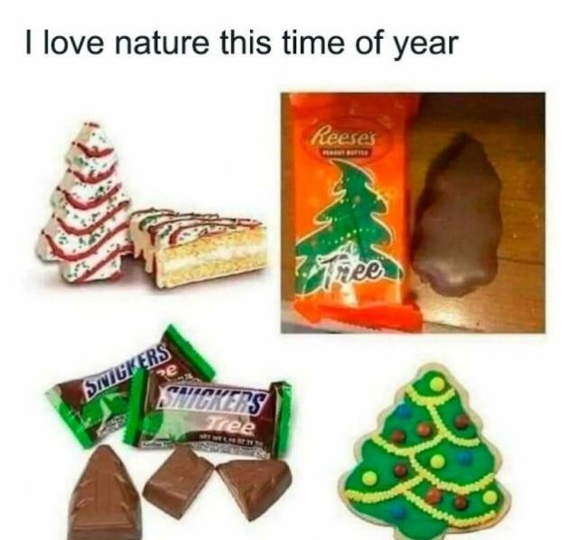 Funny Memes (23 pics)