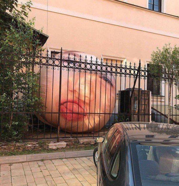 What Is Going On Here? (24 pics)