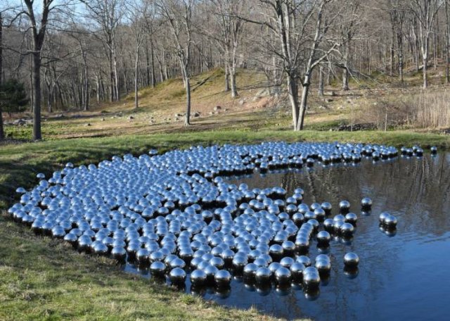 What Is Going On Here? (24 pics)