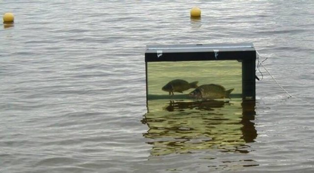 What Is Going On Here? (24 pics)