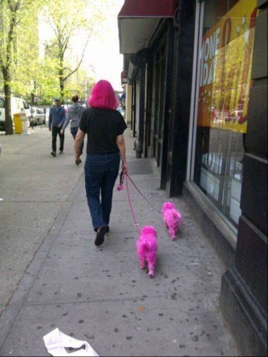 What Is Going On Here? (24 pics)