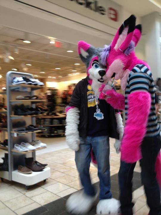 What Is Going On Here? (24 pics)