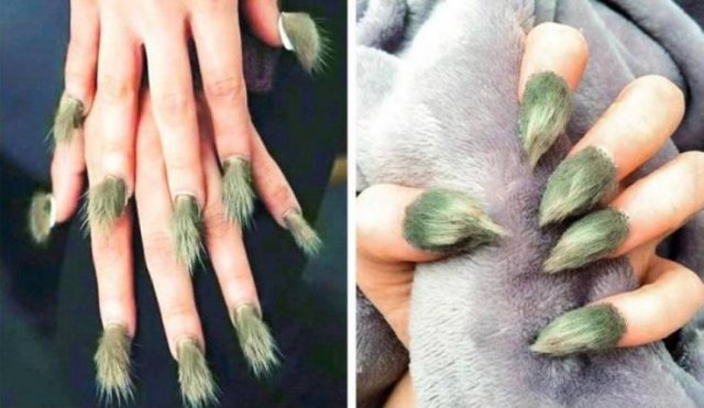 What Is Going On Here? (24 pics)