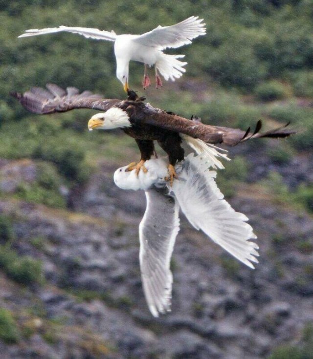 What Is Going On Here? (28 pics)