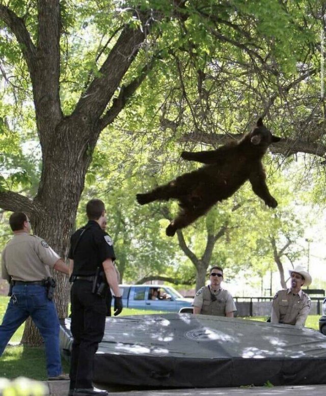 What Is Going On Here? (28 pics)