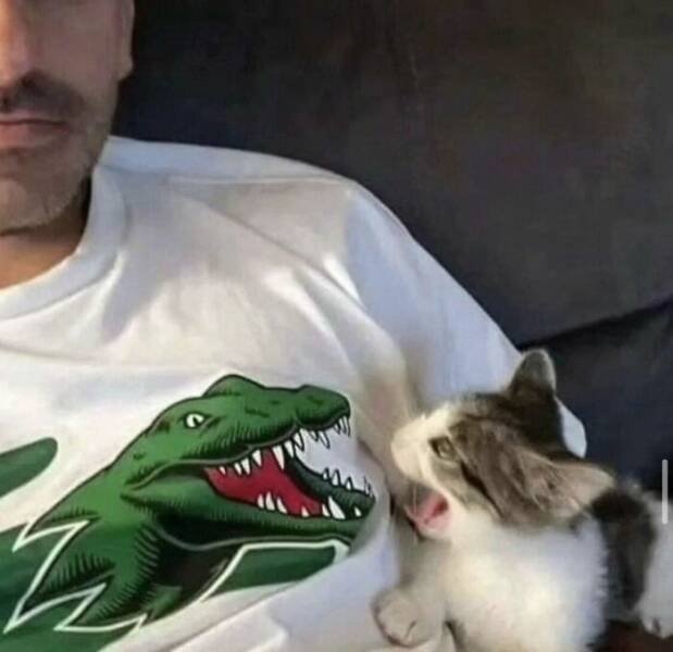 What Is Going On Here? (28 pics)