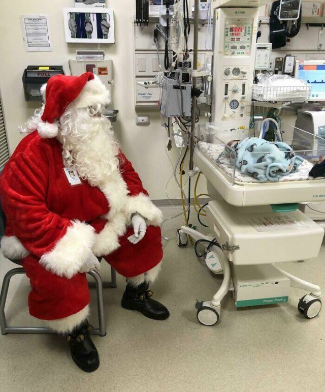 Heartwarming Holiday Stories (25 pics)