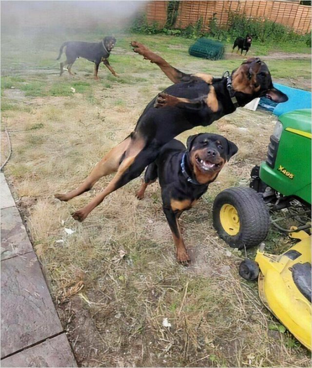 What Is Going On Here? (28 pics)