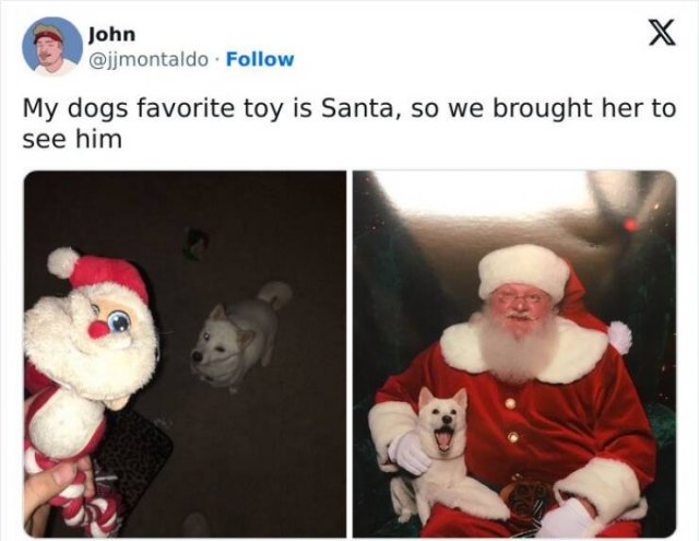 Heartwarming Holiday Stories (25 pics)