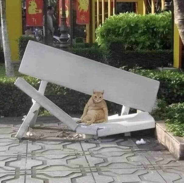 What Is Going On Here? (28 pics)