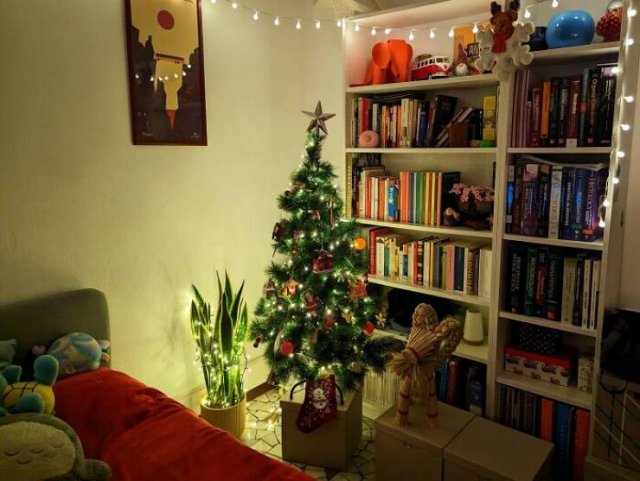 Heartwarming Holiday Stories (25 pics)