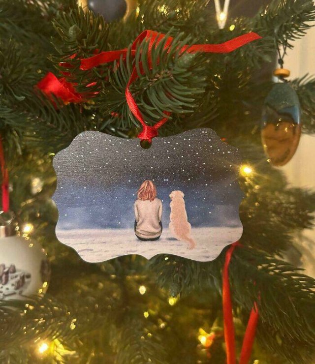 Heartwarming Holiday Stories (25 pics)