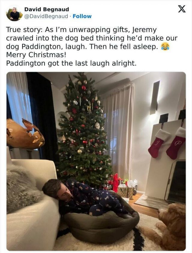 People Share Their Funny New Year Photos (24 pics)