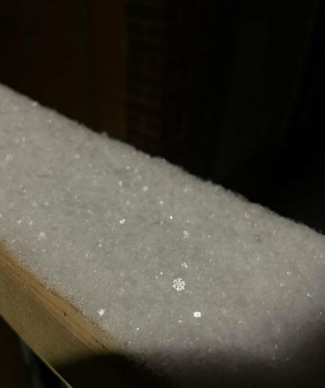 Interesting Finds (20 pics)