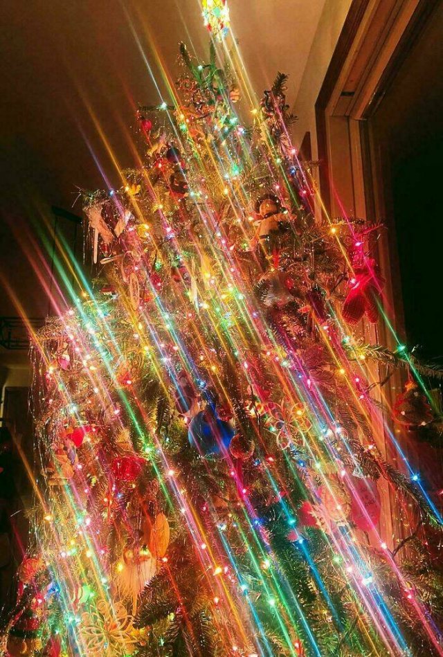 People Share Their Funny New Year Photos (24 pics)
