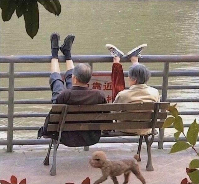 What Is Going On Here? (28 pics)