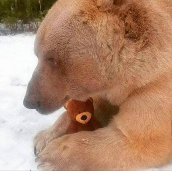 What Is Going On Here? (28 pics)