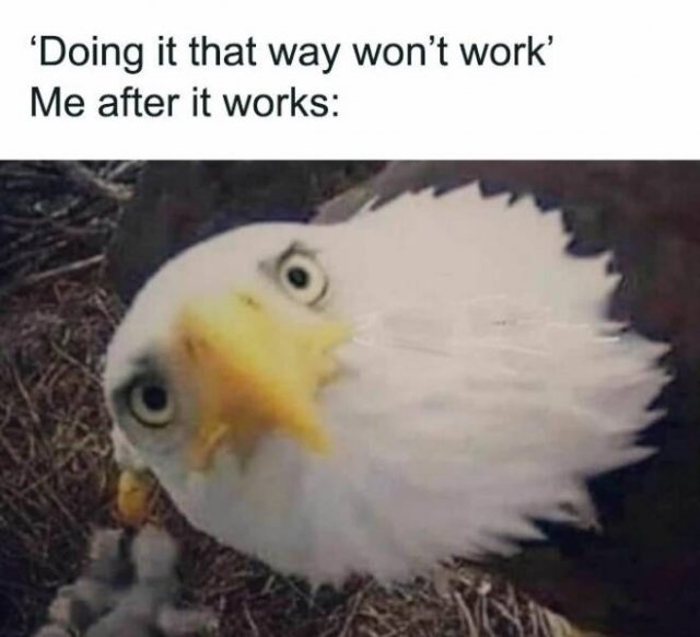 Random Memes (24 pics)