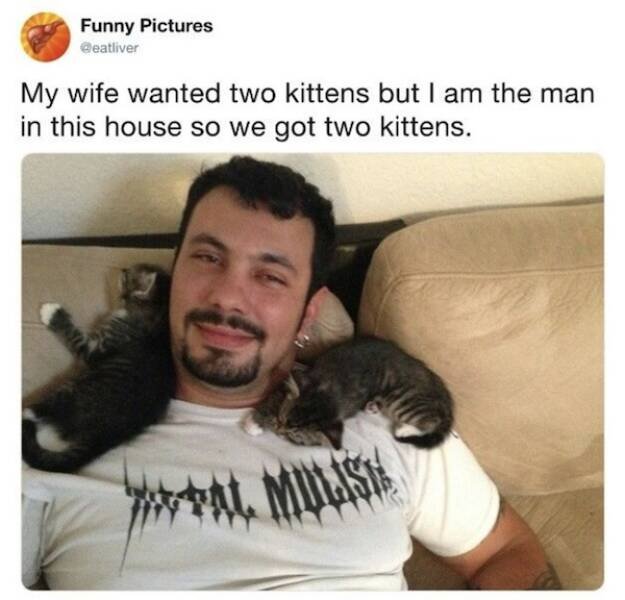 Memes For Cat Lovers (24 pics)