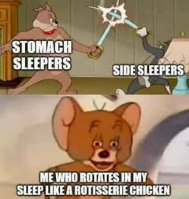 Random Memes (24 pics)