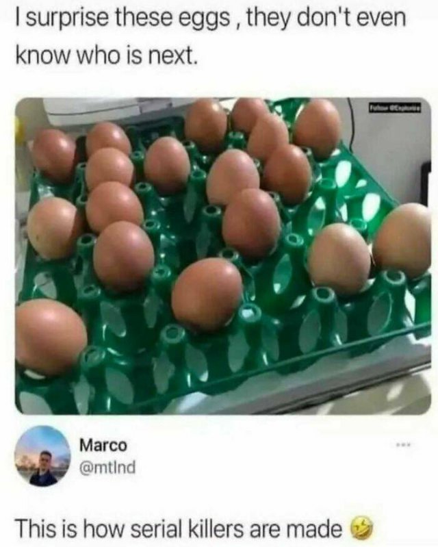 Random Memes (24 pics)