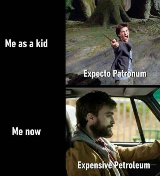 Random Memes (24 pics)