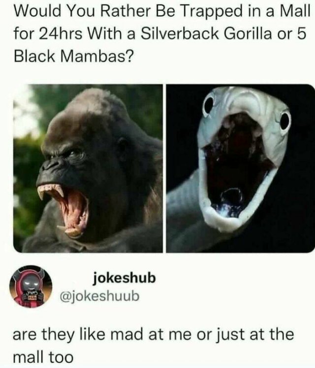 Random Memes (24 pics)