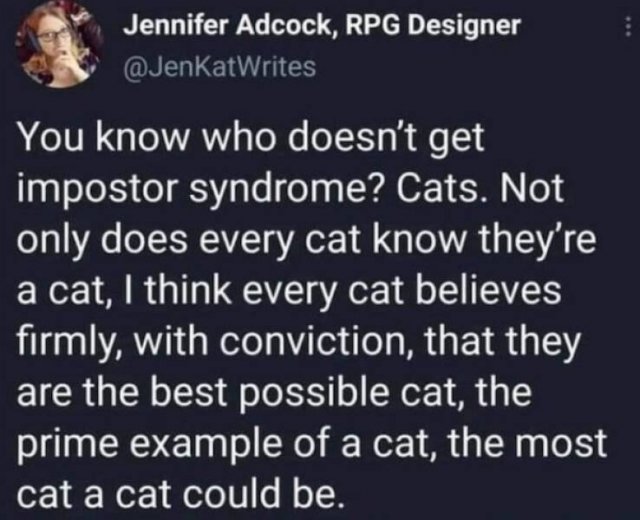 Memes For Cat Lovers (24 pics)