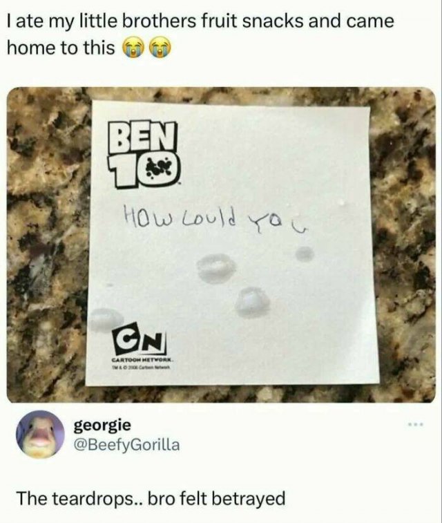 Random Memes (24 pics)