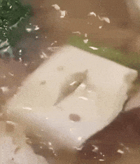 Random Facts (17 gifs) Random Facts (17 gifs)