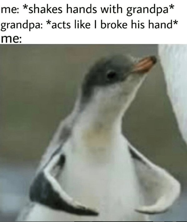 Jokes About Grandparents (24 pics)