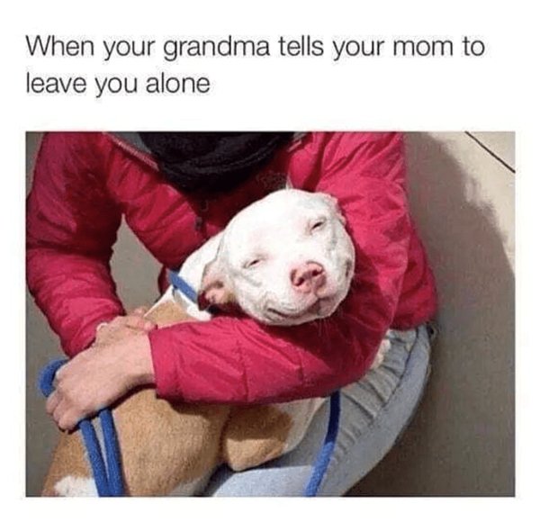 Jokes About Grandparents (24 pics)