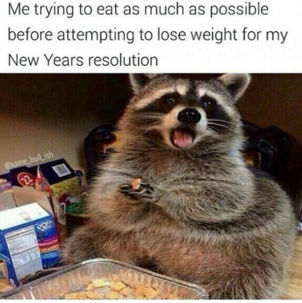 Funny New Year Memes (30 pics)