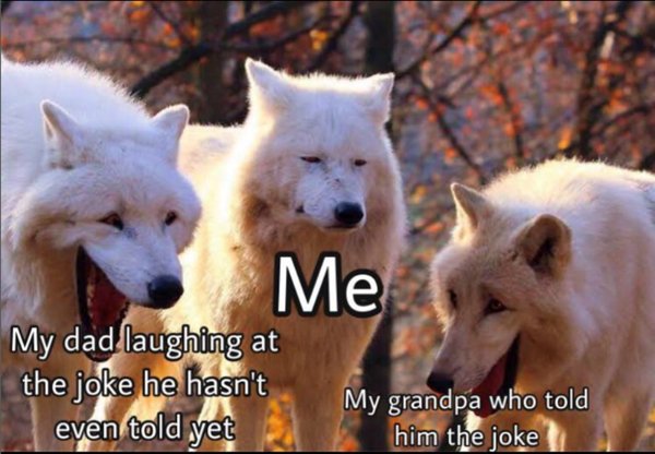 Jokes About Grandparents (24 pics)