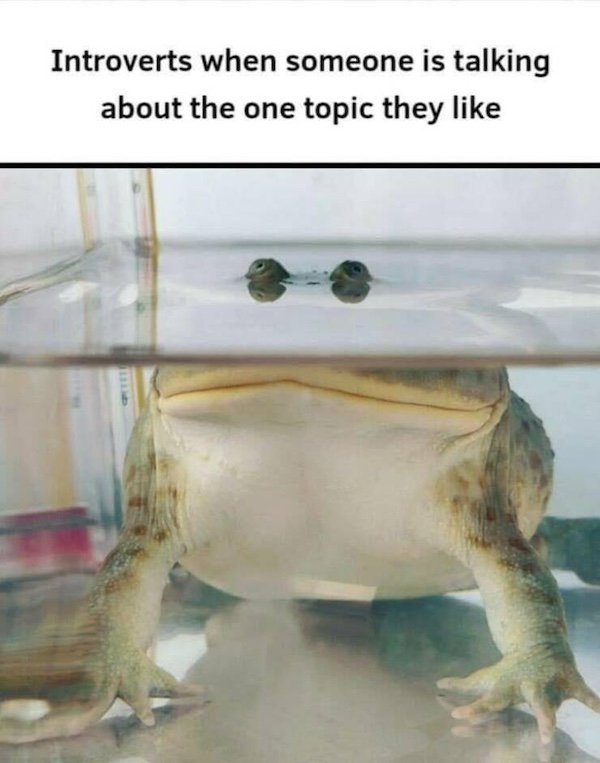 Truthful Memes (31 pics)