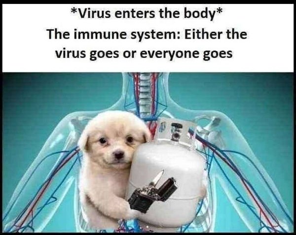Truthful Memes (31 pics)