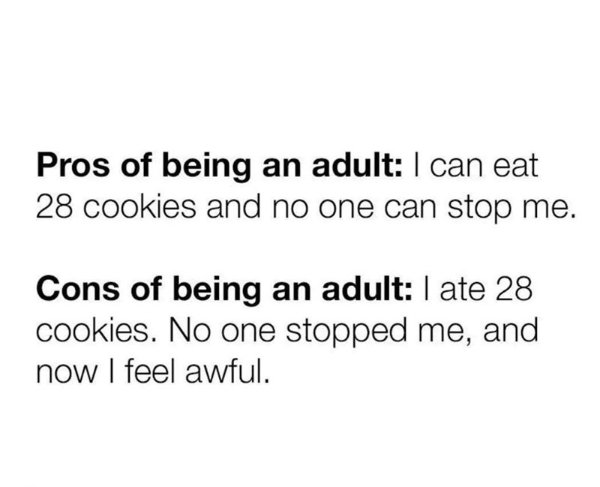 Jokes About Adult Life (32 pics)