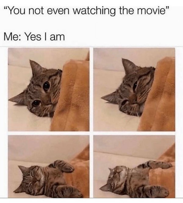 Truthful Memes (31 pics)