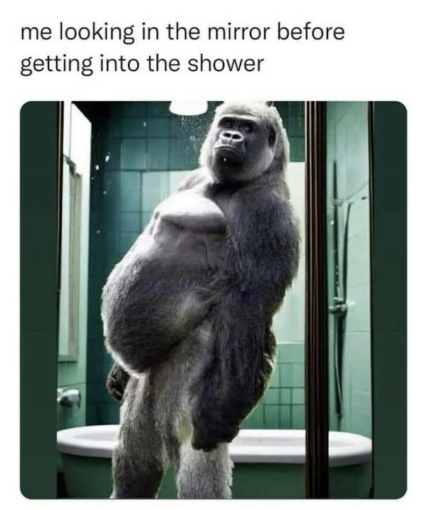 Truthful Memes (31 pics)