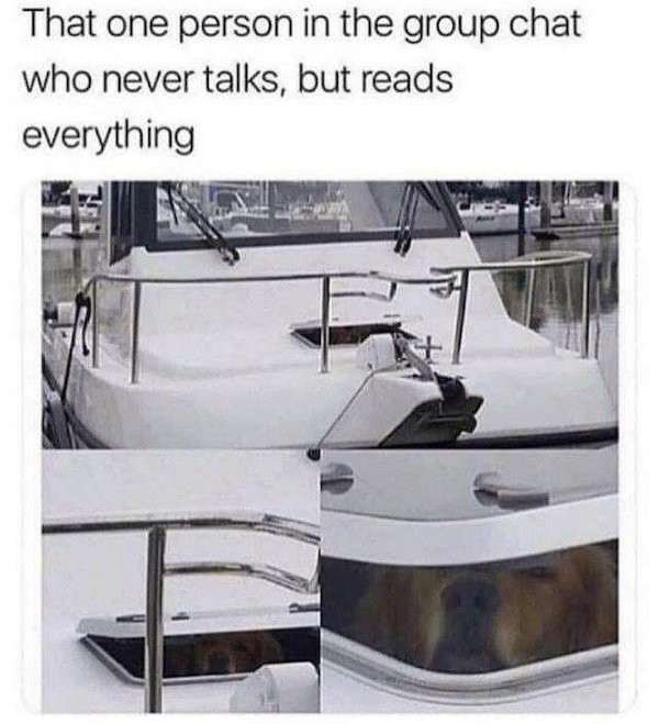 Truthful Memes (31 pics)