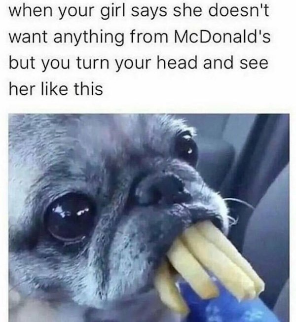 Truthful Memes (31 pics)