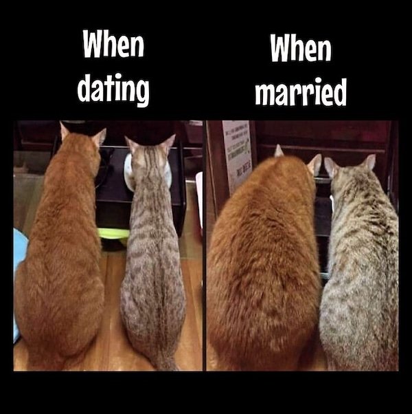 Diet Memes (30 pics)