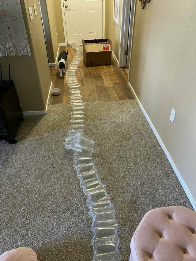 Excessive Packaging (25 pics) Excessive Packaging (25 pics)