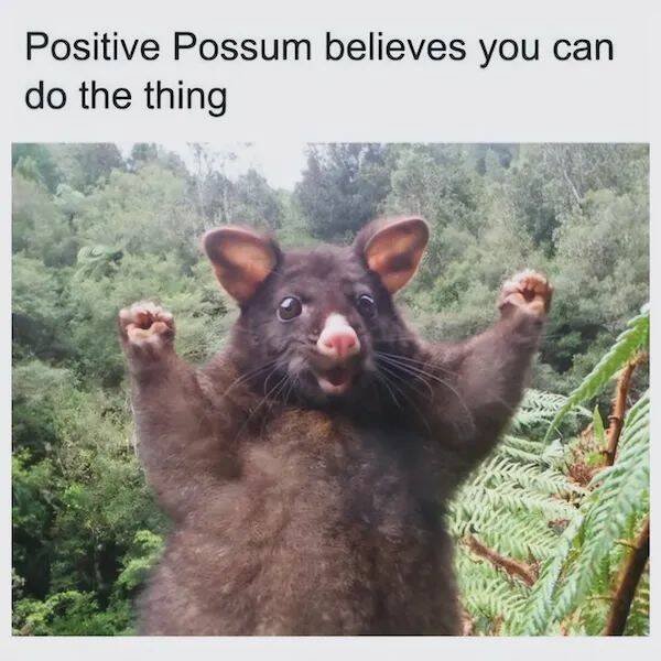 Kind Jokes (23 pics)