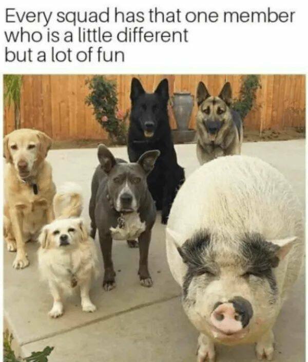Kind Jokes (23 pics)