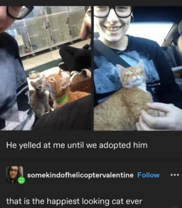 Kind Jokes (23 pics)